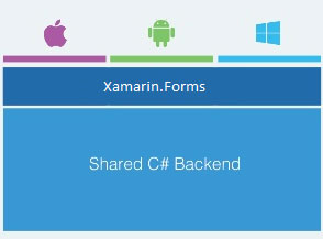 Cross-platform Native Mobile App Development using Xamarin Forms