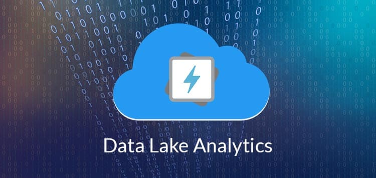 Data Lake Analytics for Enterprises