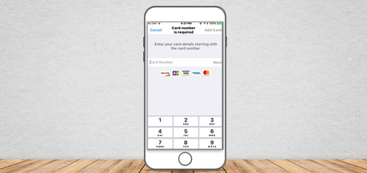 iOS screen for payment gateway app