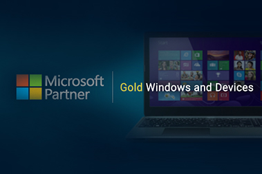 Microsoft Gold Partner